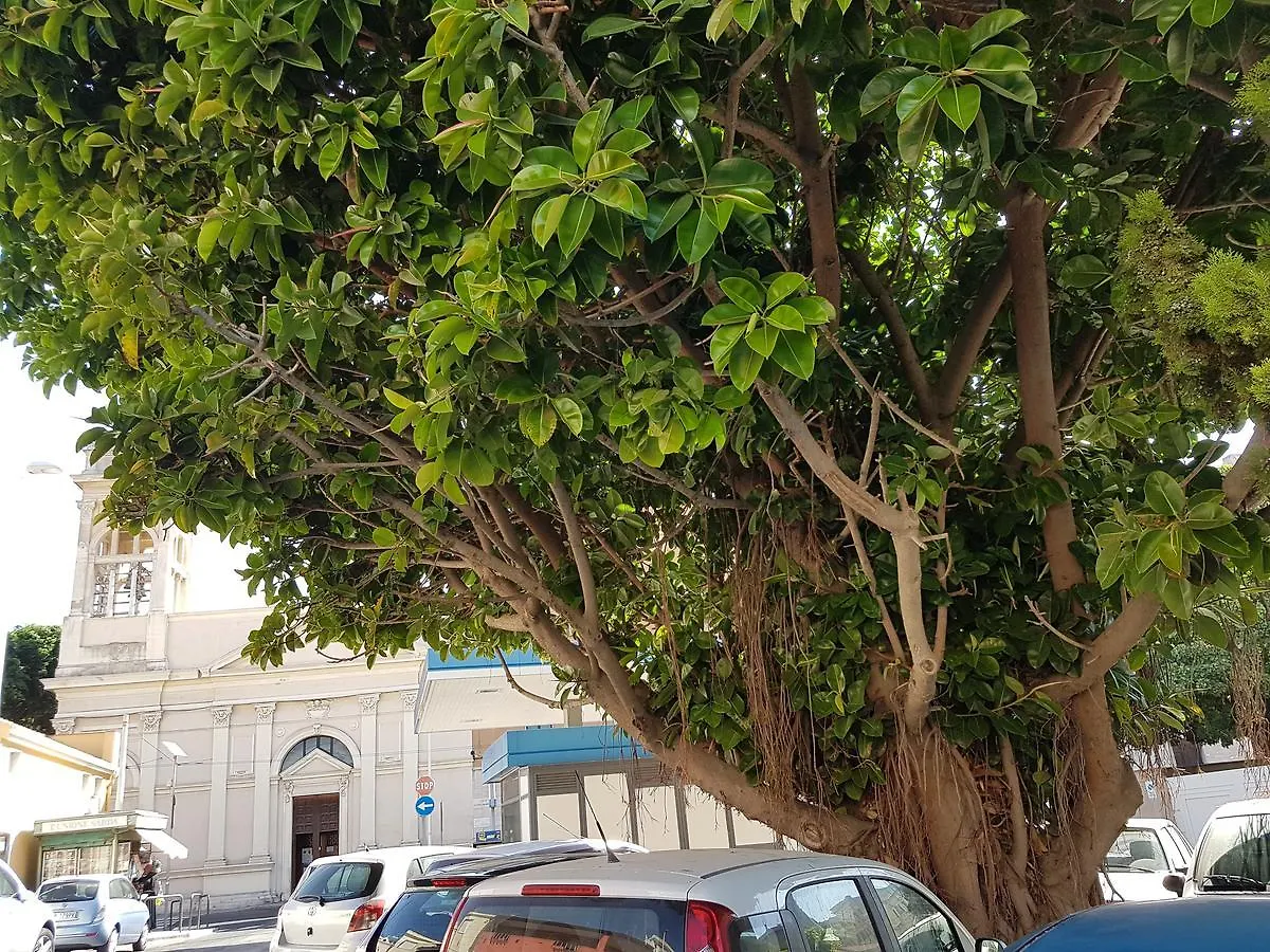 Da Agnese Locazioni Brevi Hotel Cagliari Italy